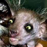 Smoking Goblin