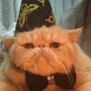 BAL GUNDUZU
