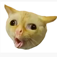 (っ◔◡◔)っ ♥ meow meow