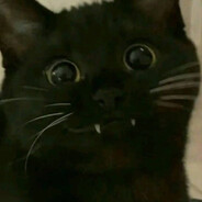Sillycat