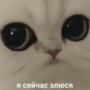 ⭕⃤ KrAsAv4ik なんてプロ