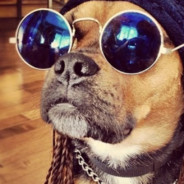 =ツRichDog=