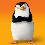 ~SKIPPER~