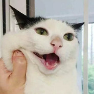我是大兽