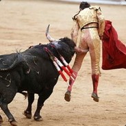 abetterbull