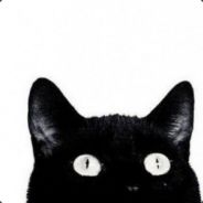 SY的猫.avi