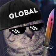 Andrew.premium.llg.ro