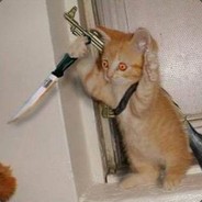 killer cat CZ