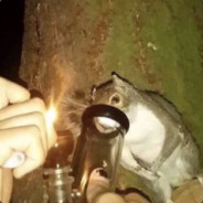 Trenchbrooom