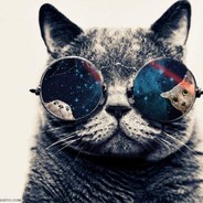 Tripping_Cat