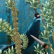 seal.`</3