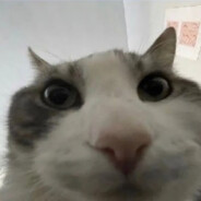 Larky