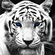 Coldfusion10
