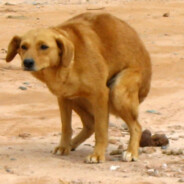 CARAMELO OUSADO