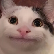 Darpex.