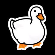 SeniorPetu
