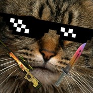 Steam Community Avatar