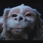 Falkor1980