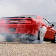  [ Steam Profile ] 