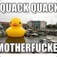 DuckyOnQuack