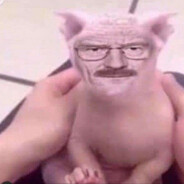 kot na grzałce"♥♥♥♥♥♥♥♥♥♥"