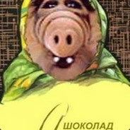  [ Steam Profile ] 