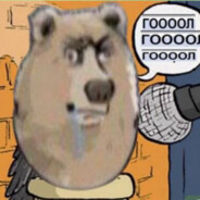 zzolp