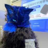 南宫问雅.