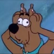 Mr. Doo