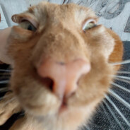 andre1u1