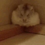 MyyyyyS
