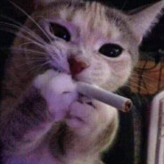 чиф киф