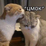 Кітік