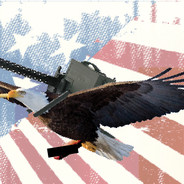 WarEagleF3ll3r