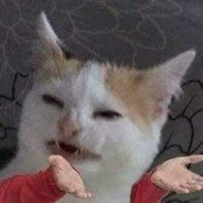 aktoto