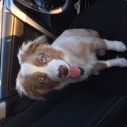 stucknluck