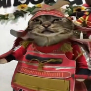 Mr Ming Ming