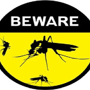 Mosquito