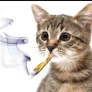kushbaby