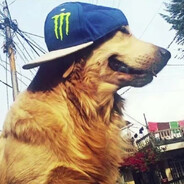i am haxor poothook.cc