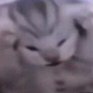Альцгеймер