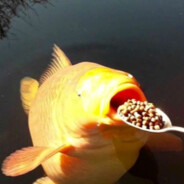 Big Koi Boi
