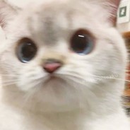 LoFcaPL