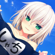 Steam profile picture for @sections