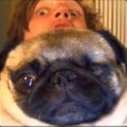 PoopTurdOP