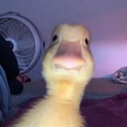 Ente