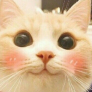 ^_^