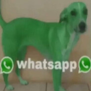 PerroWhatsap1
