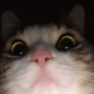 bb