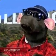 Rat